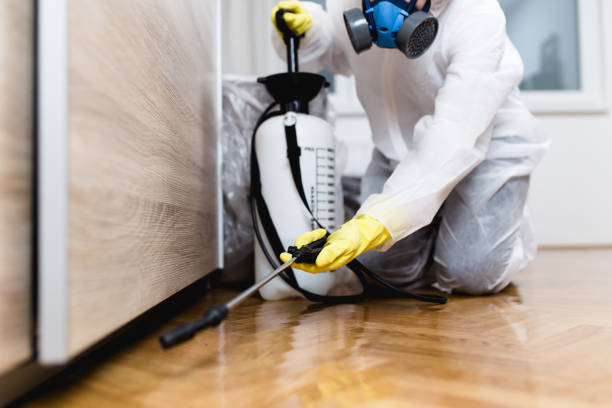 Pest Control for Restaurants in Bruceville Eddy, TX