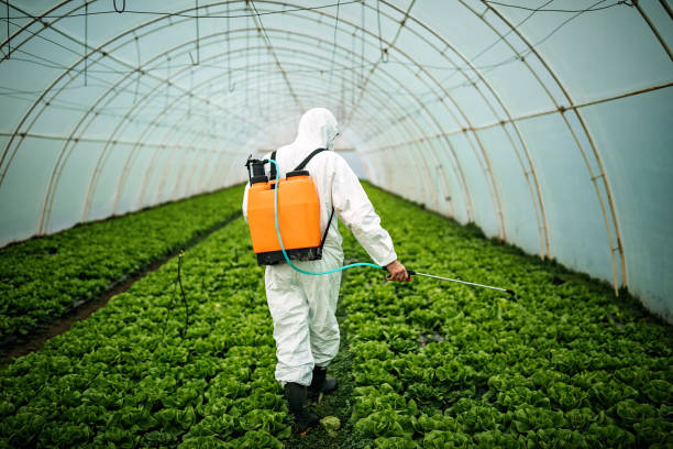 Best Pest Control for Restaurants  in Bruceville Eddy, TX